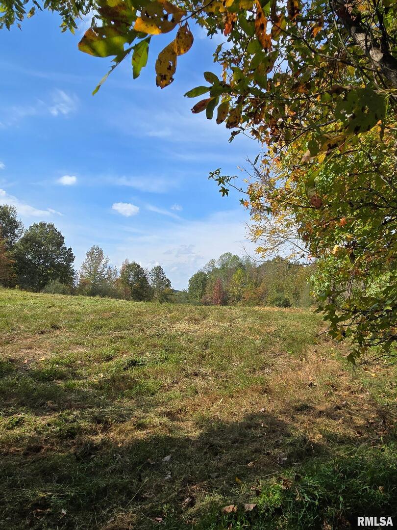 2174 Highway 1 Elizabethtown, IL 62931 - Photo 9 of 14 a view of an outdoor space and a yard