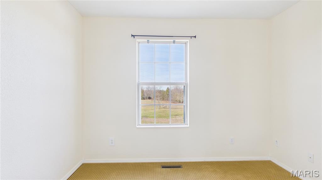 170 Country View Road Highlandville, MO 65669 - Photo 27 of 43