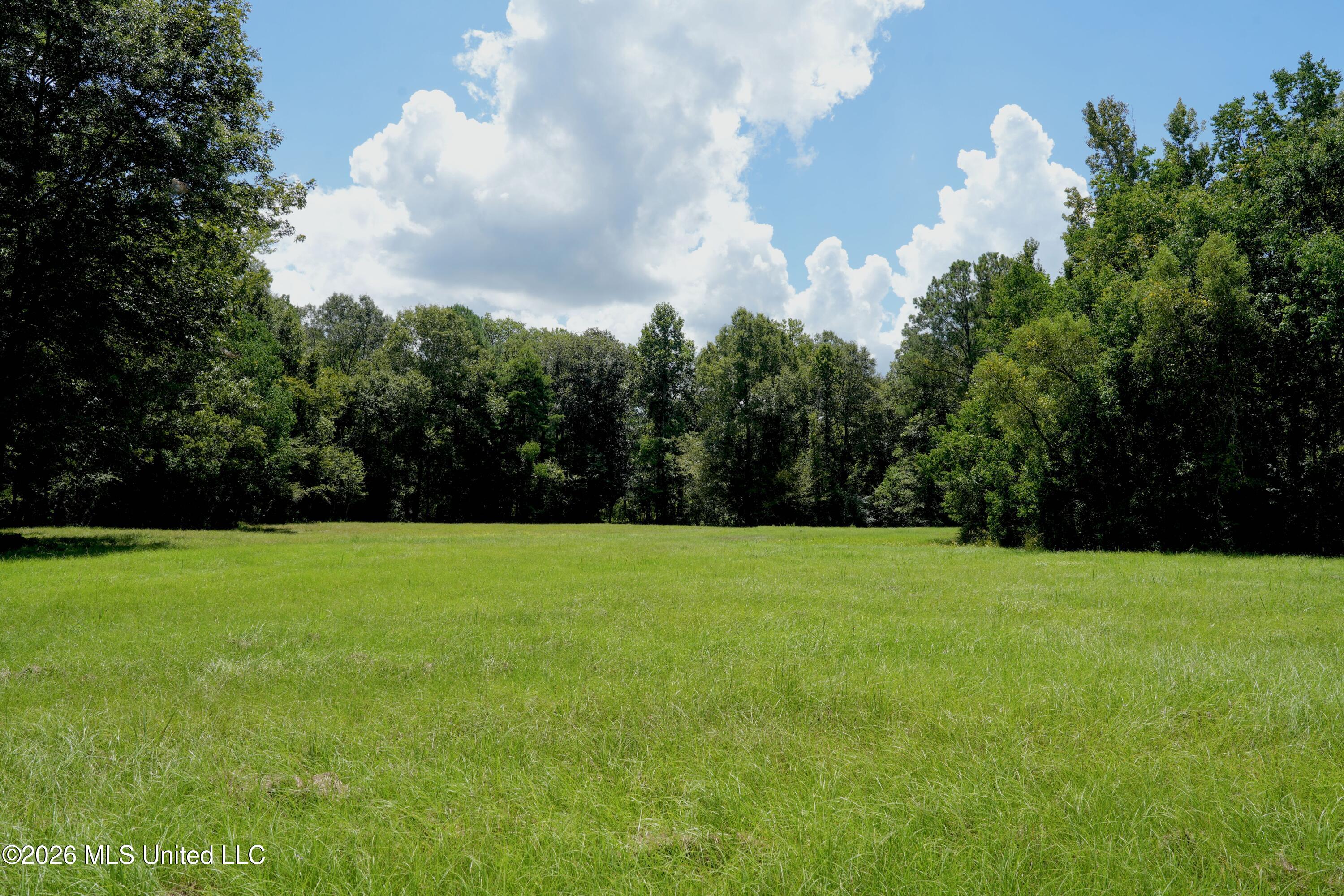 Xxxx Hamp Lea Road Magnolia, MS 39652 - Photo 42 of 48 DSC03978