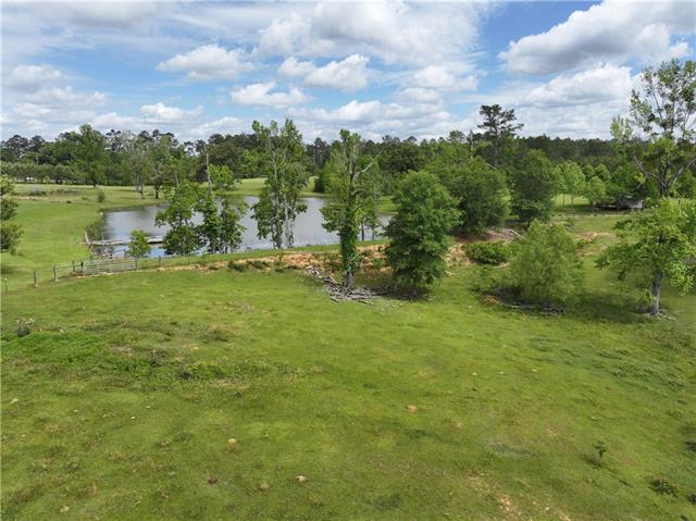 60277 Leander Lane Amite, LA 70422 - Photo 20 of 50