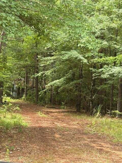 53 Robinson Road Seale, AL 36875 - Photo 1 of 15 Main View