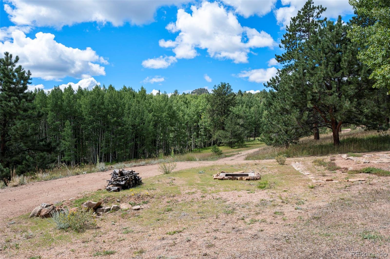 4710 Wildhorn Road Florissant, CO 80816 - Photo 38 of 41