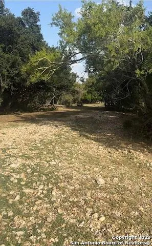 a view of yard with trees