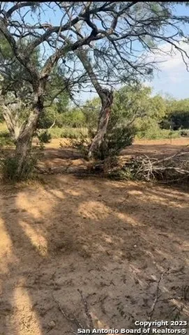 a view of a beach with a yard