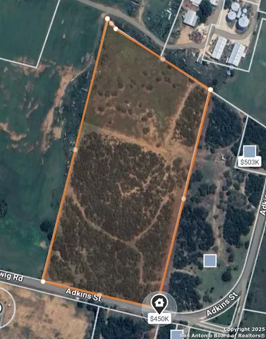 a view of a yard with trees