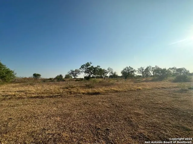 a view of a field with trees