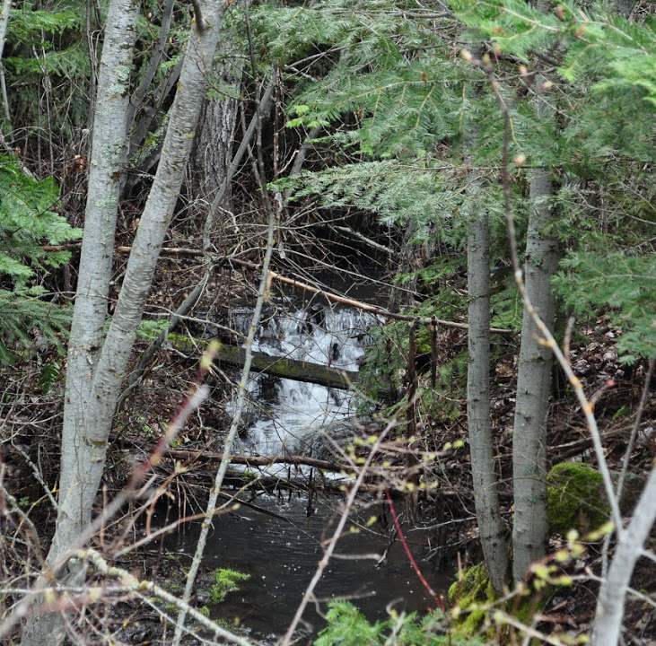 2554 Early Road Addy, WA 99101 - Photo 13 of 20