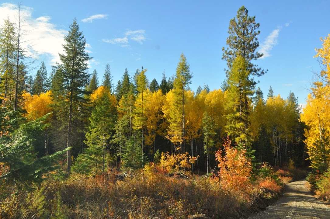 2554 Early Road Addy, WA 99101 - Photo 15 of 20