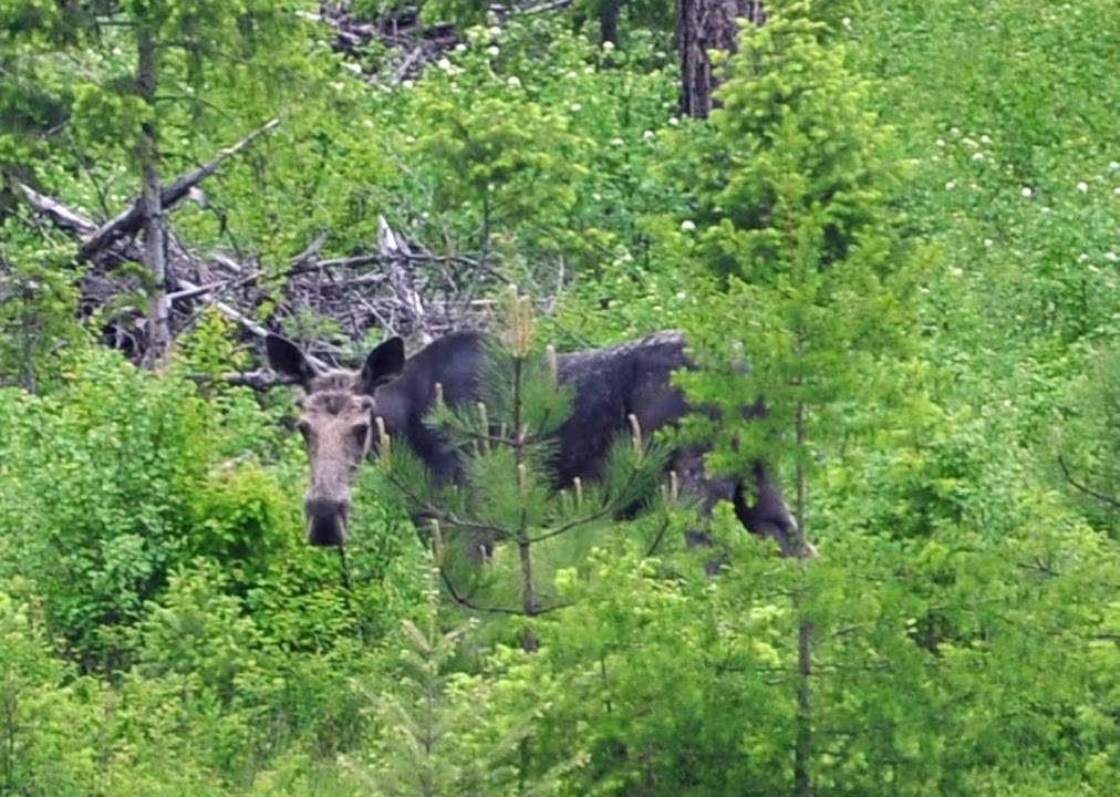 2554 Early Road Addy, WA 99101 - Photo 16 of 20