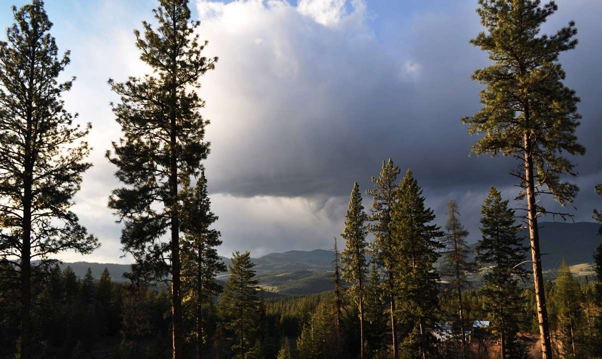 2554 Early Road Addy, WA 99101 - Photo 19 of 20