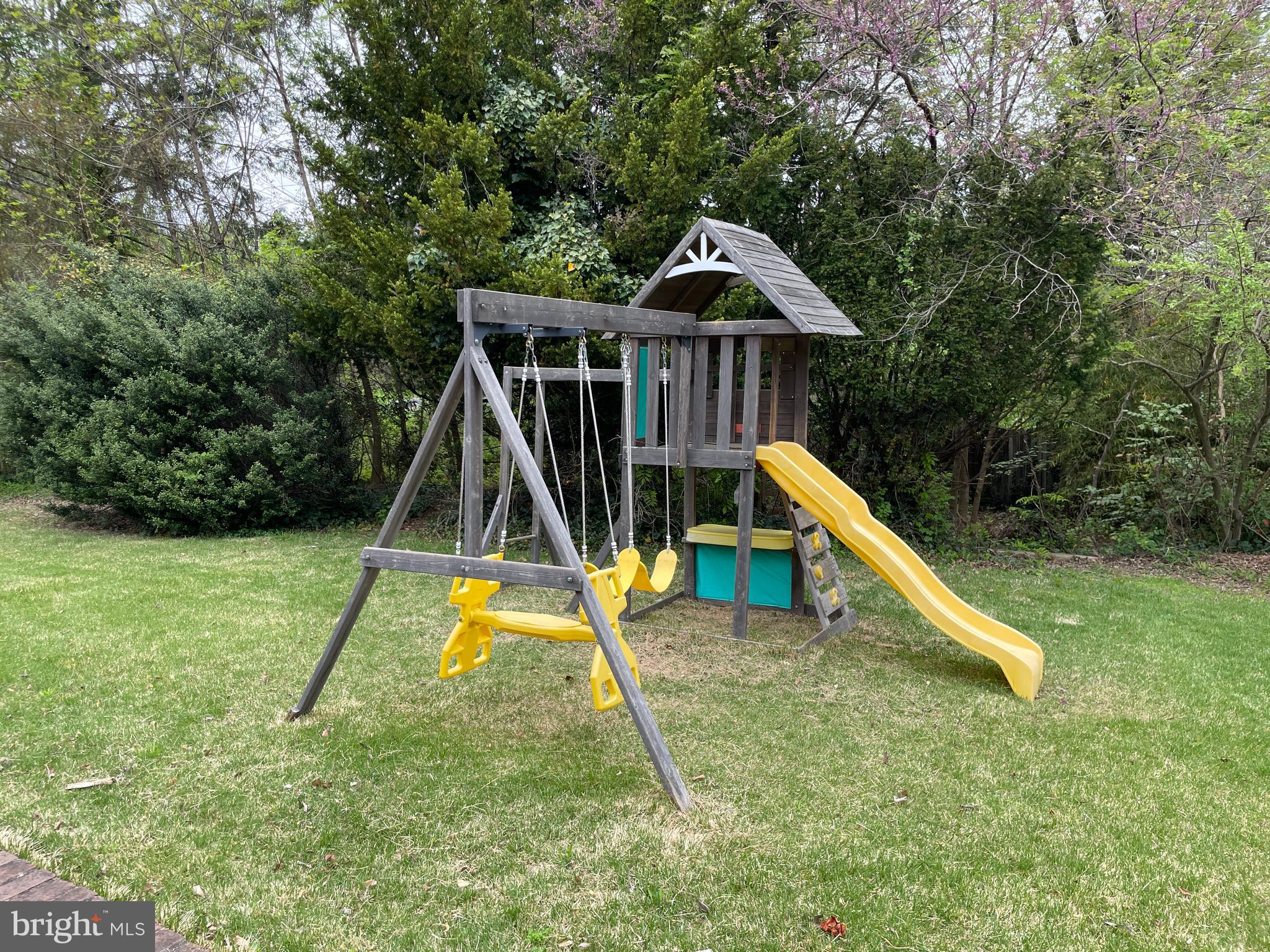 4401 Park Road Alexandria, VA 22312 - Photo 33 of 38 Play equipment and shed