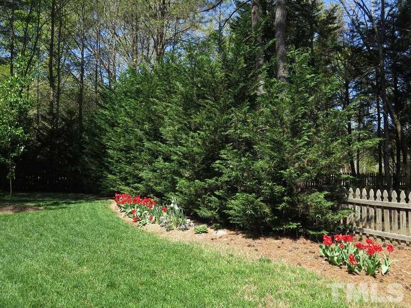 3103 Ridgestone Parkway Durham, NC 27712 - Photo 21 of 24 Gallery Image 21