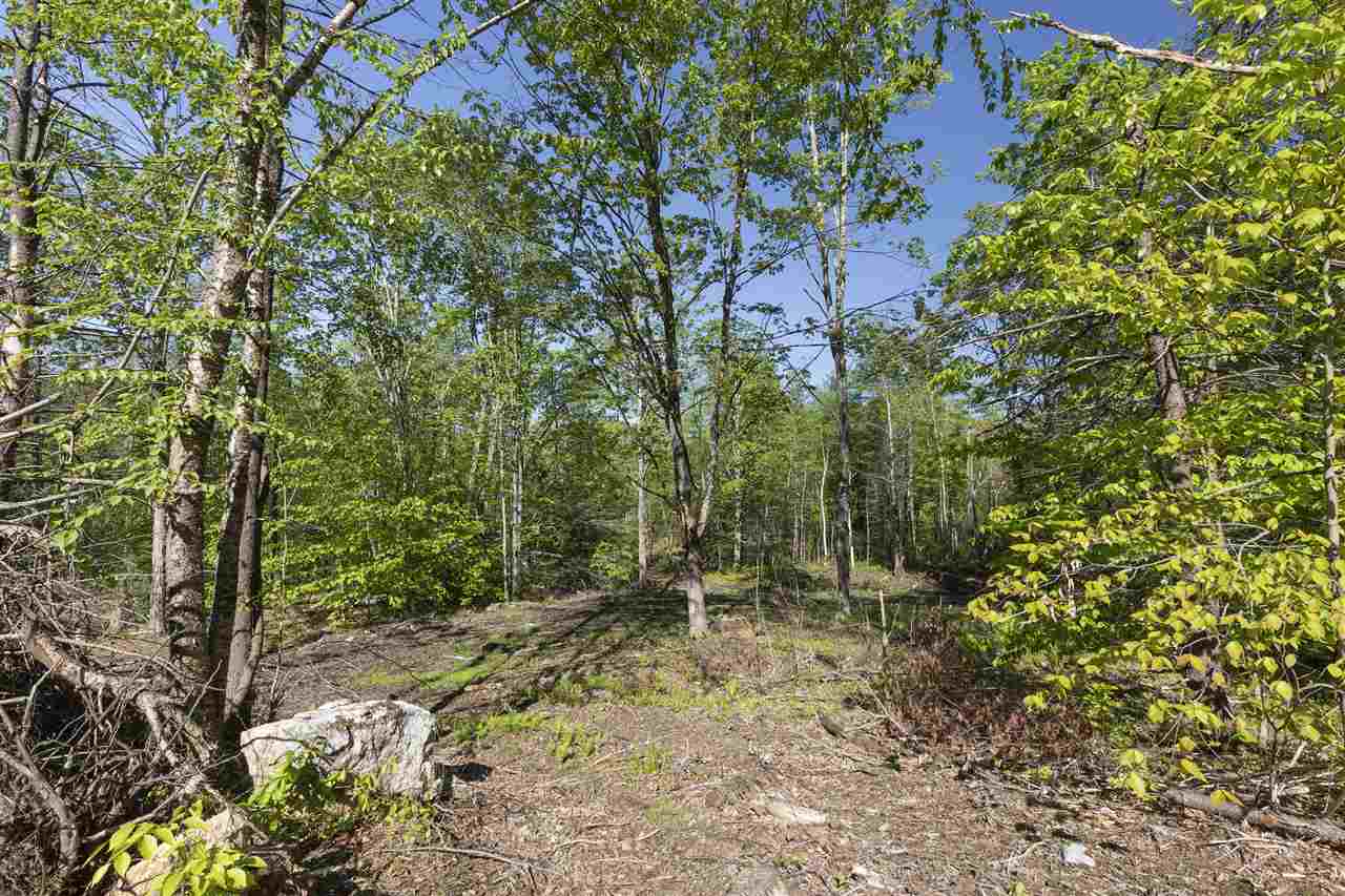 Lot 6-2 Peverly Road Northfield, NH 03276 - Photo 3 of 4