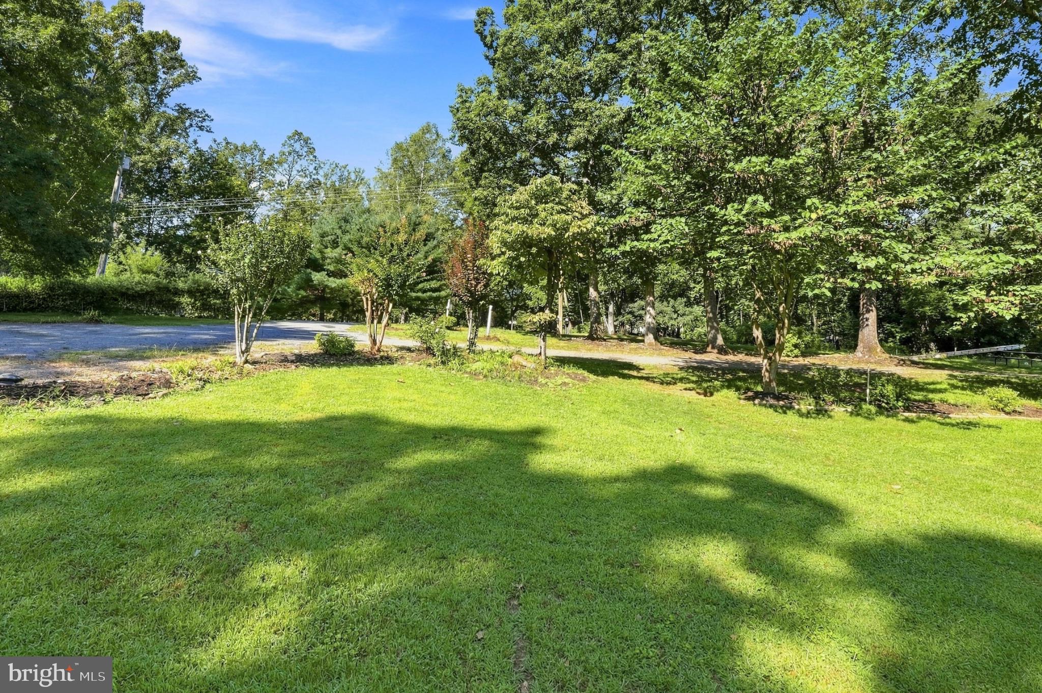 14105 Reva Road Boston, VA 22713 - Photo 9 of 38 Lush green landscape under blue skies.