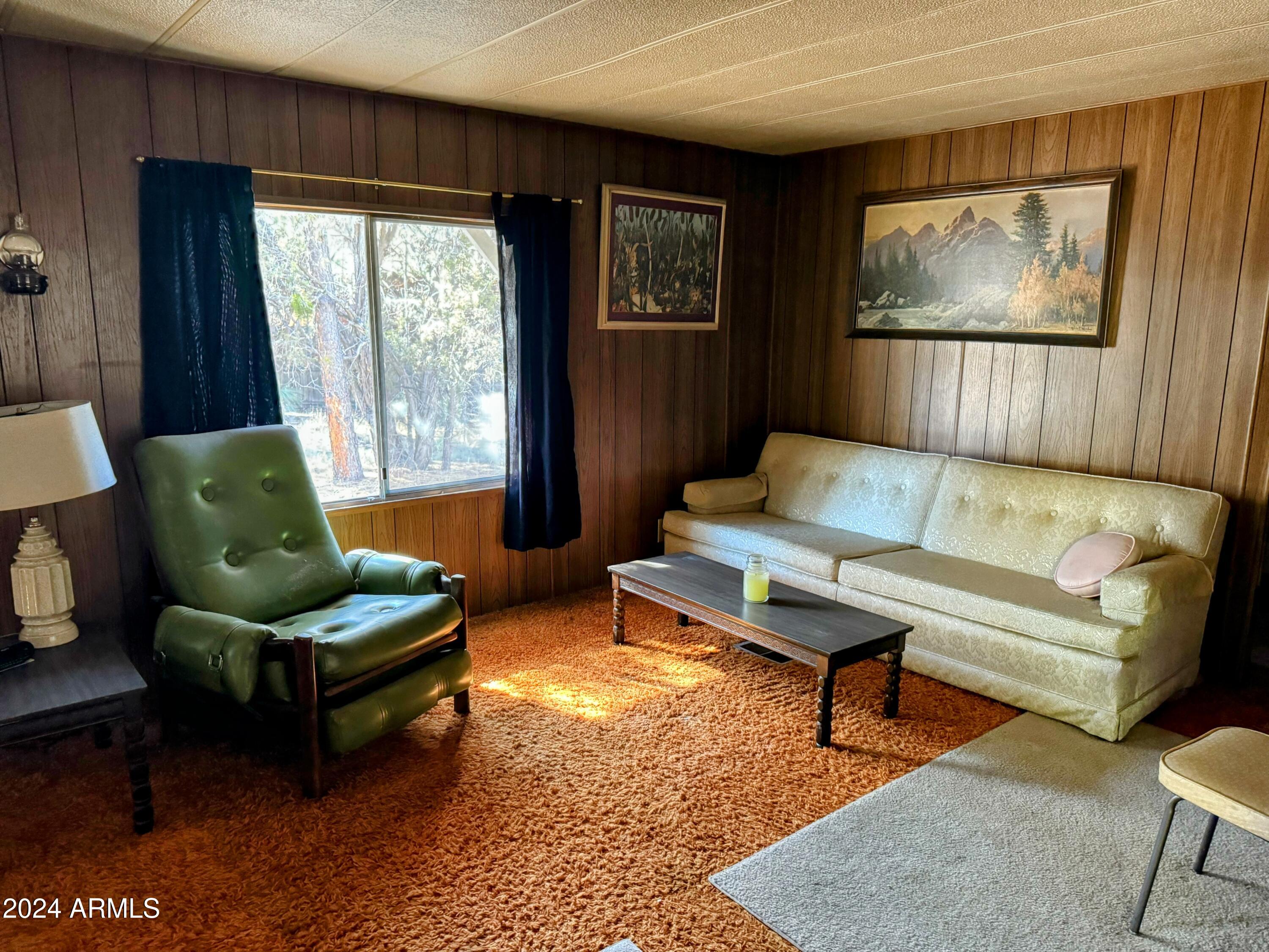 2149 Fishermans Road Overgaard, AZ 85933 - Photo 4 of 12 Living Room