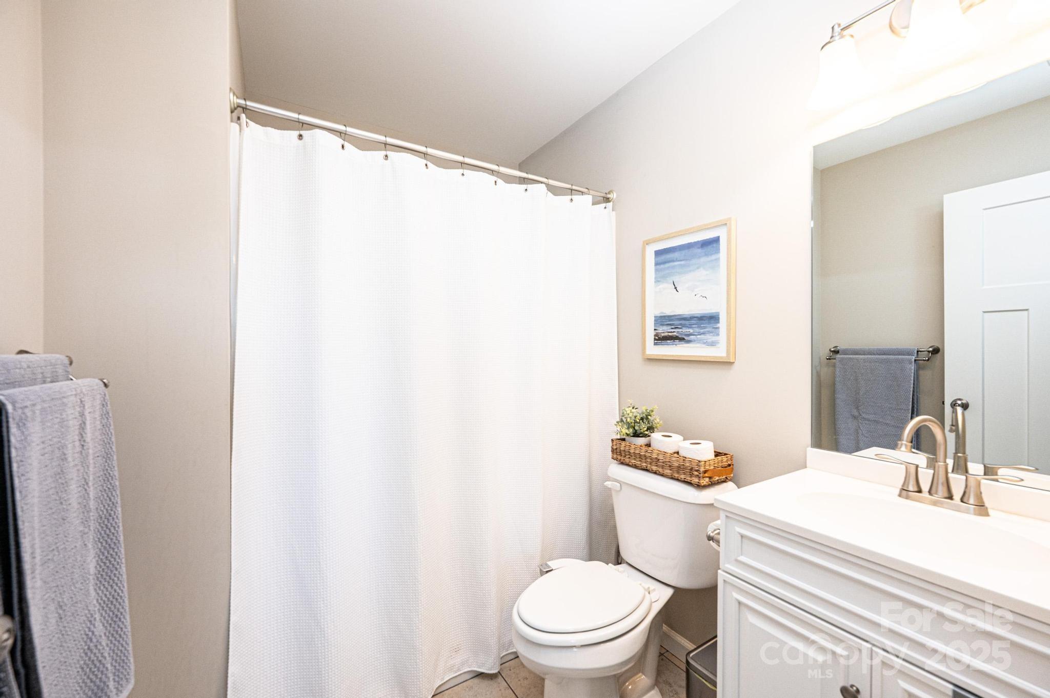 50 Serenity Lane Hickory, NC 28601 - Photo 25 of 33 a bathroom with a sink a toilet a mirror and shower curtain