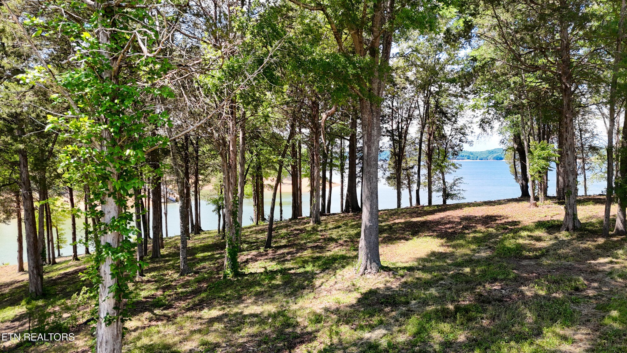 123 Ridge Point Trail Dandridge, TN 37725 - Photo 4 of 36