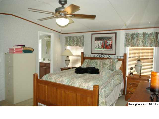 495 Jackson Taylor Road Ashville, AL 35953 - Photo 7 of 28