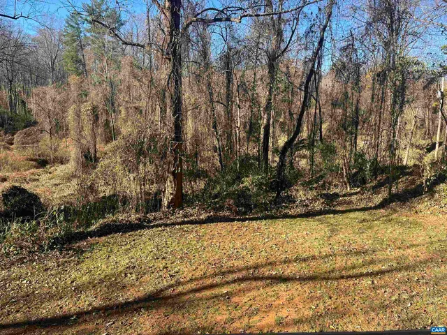 a view of a yard with trees