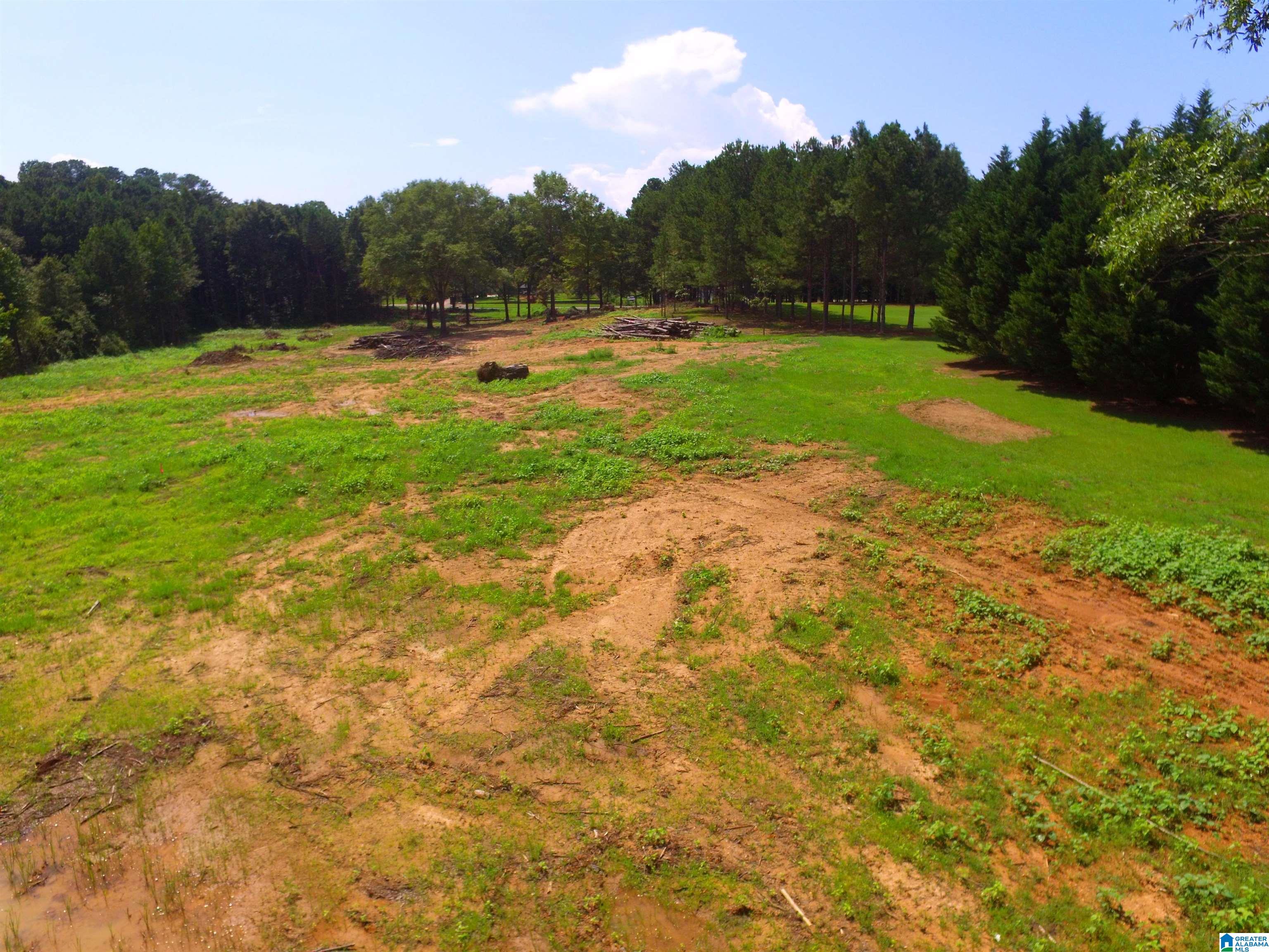 0 Lane Road, Unit 1 Oxford, AL 36203 - Photo 4 of 11