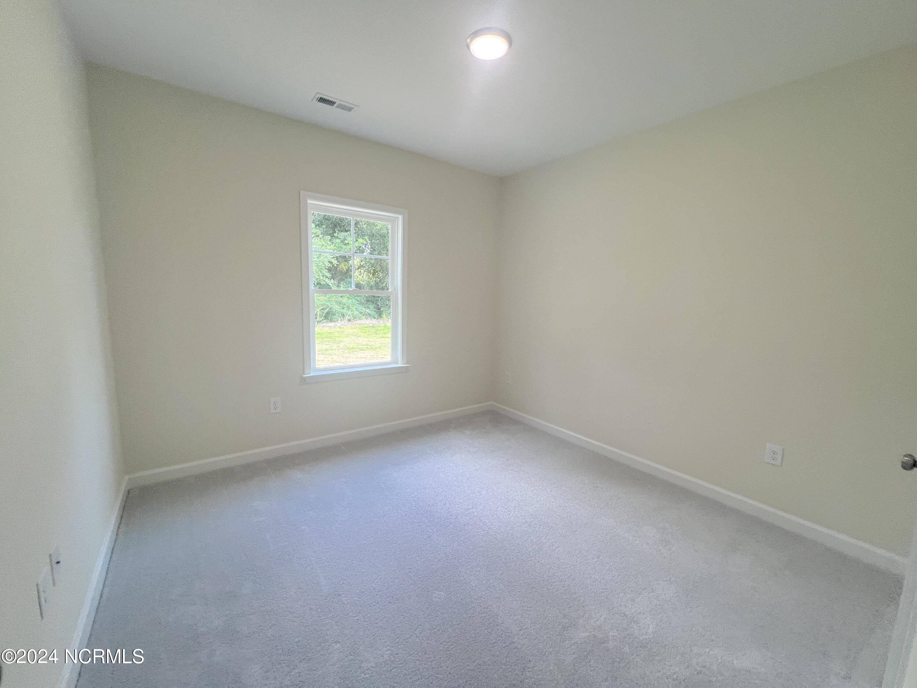 915 Aspen Ridge Court Deep Run, NC 28525 - Photo 15 of 16 IMG_4240