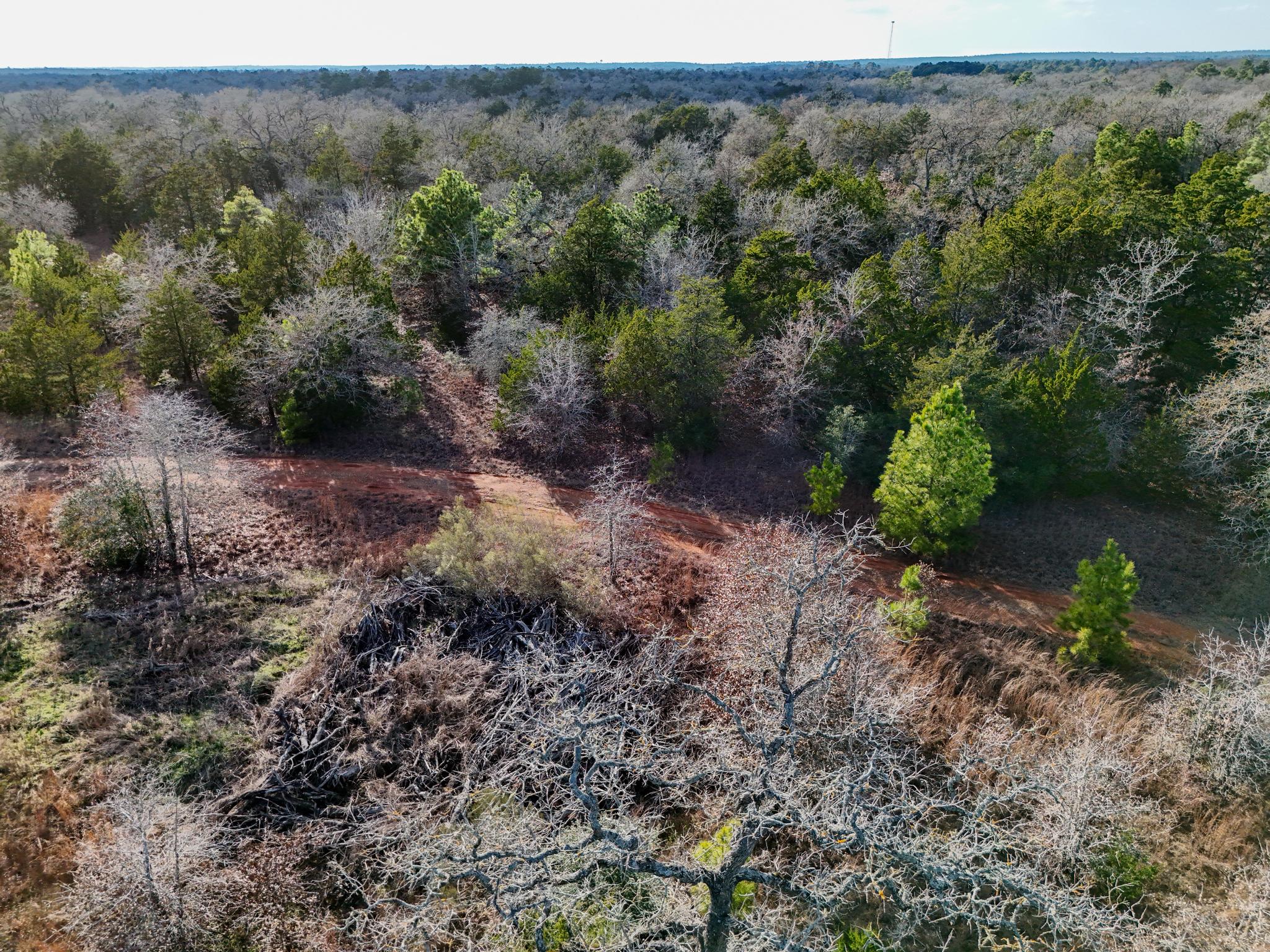 Lot 7 South Old Potato Road Paige, TX 78659 - Photo 15 of 22 Drone / aerial view of a forest