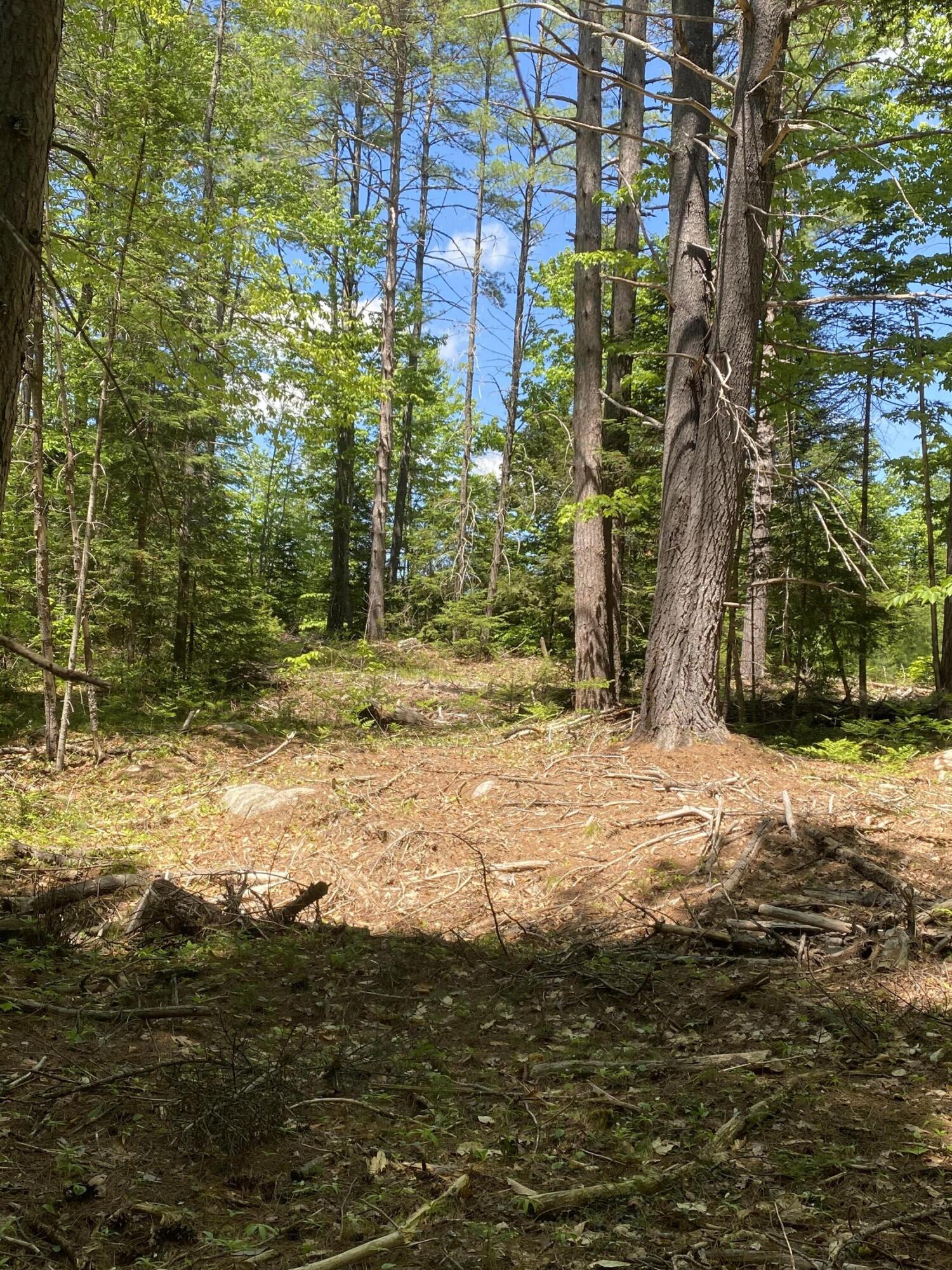 Lot 10 Norway Road Harrison, ME 04040 - Photo 17 of 41 6F3C215E-41E1-4B9E-B024-3A6326DFEAC1
