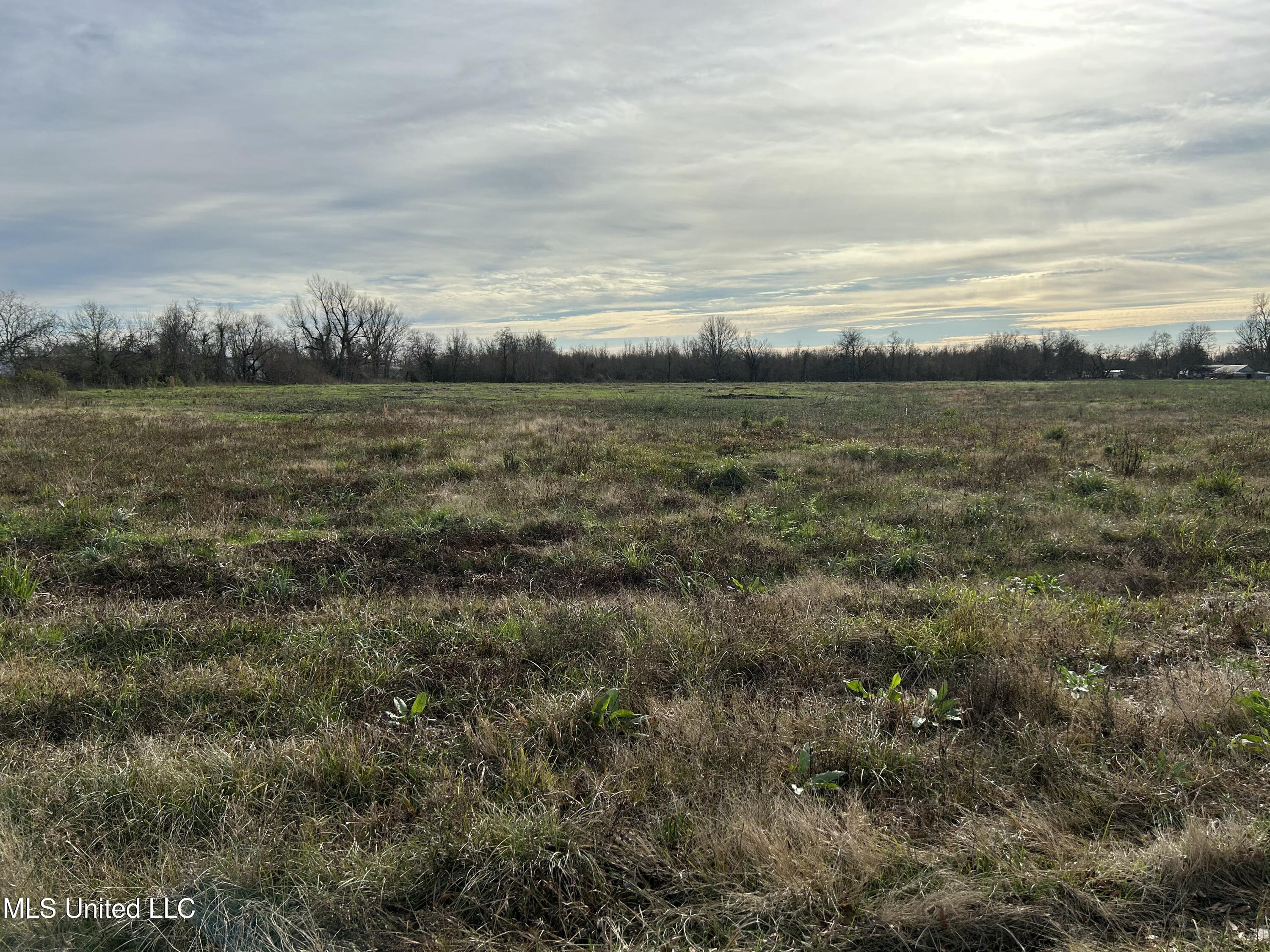 Moose Lodge Road Vidalia, LA 71373 - Photo 4 of 17 IMG_5786