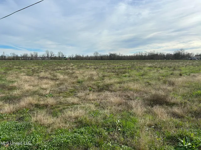 $295,000 | Moose Lodge Road, Vidalia, LA 71373