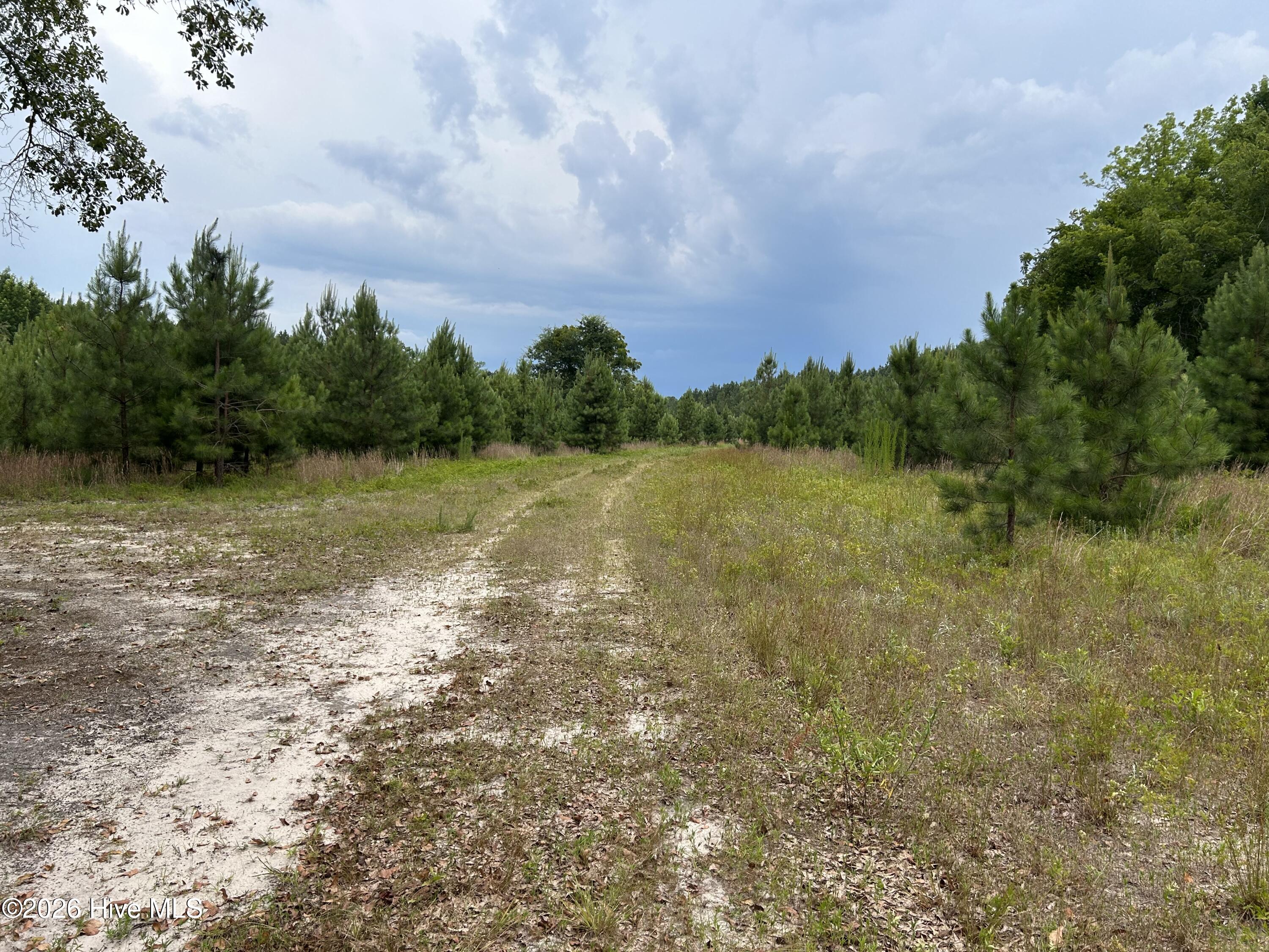 0 Autrytown Road Elizabethtown, NC 28337 - Photo 50 of 51 Gallery Image 50