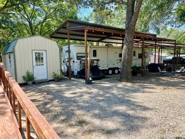 a view of a tree in a yard