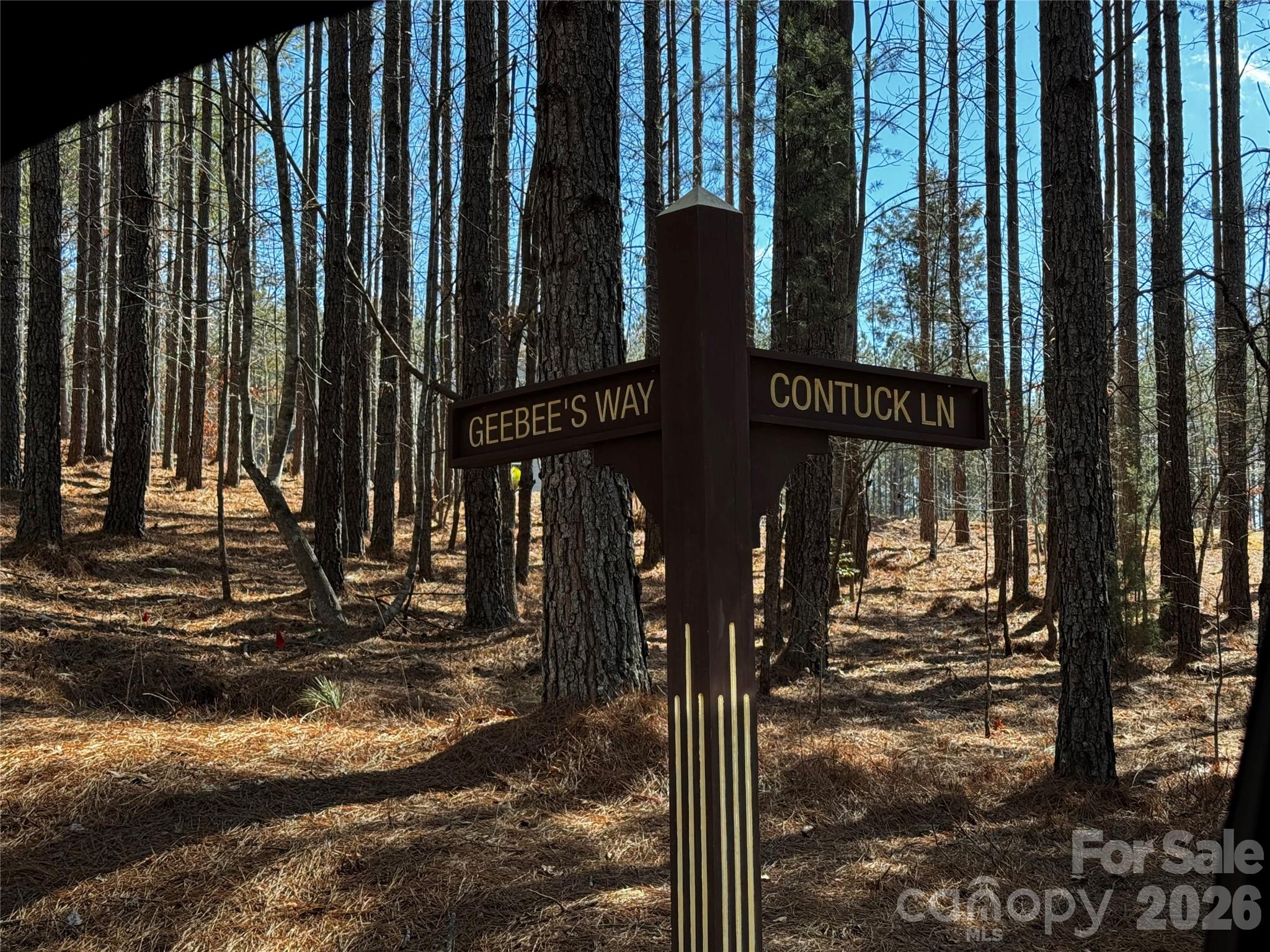 5 Geebees Way Mill Spring Mill Spring, NC 28756 - Photo 14 of 14
