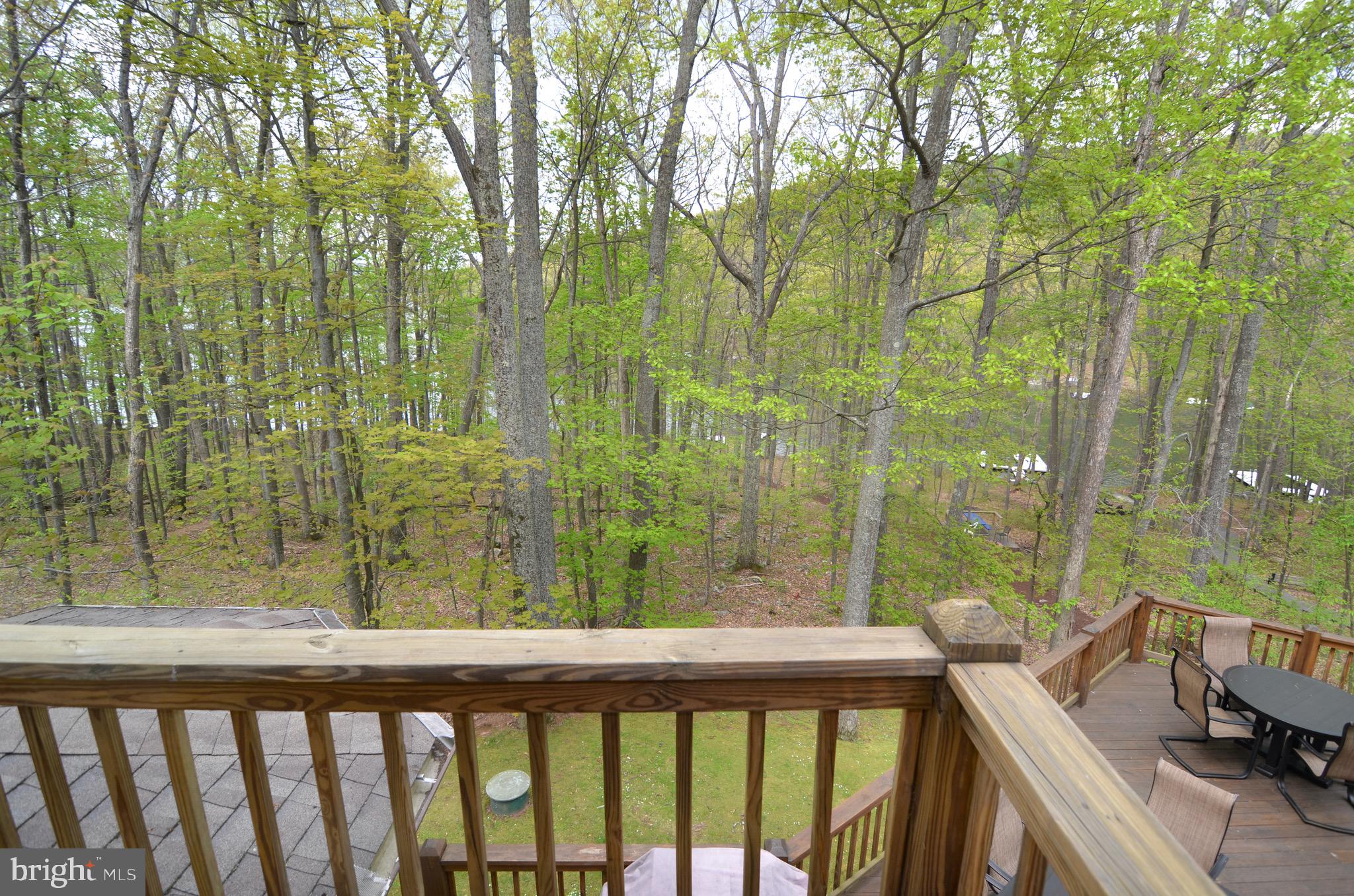 2631 Marsh Hill Road McHenry, MD 21541 - Photo 40 of 40