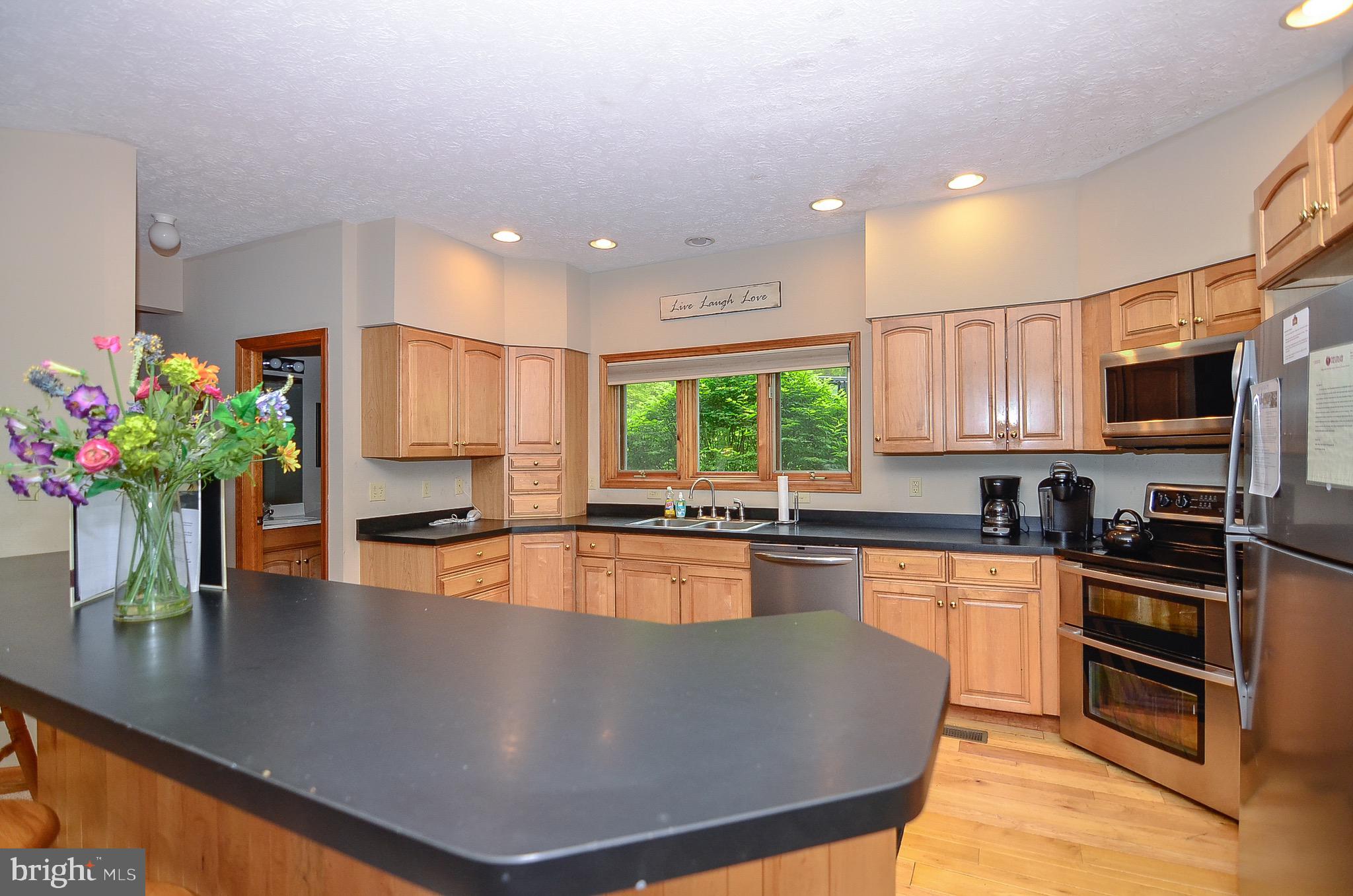 2631 Marsh Hill Road McHenry, MD 21541 - Photo 5 of 40