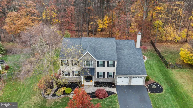 aerial view of a house with a yard and potted plants