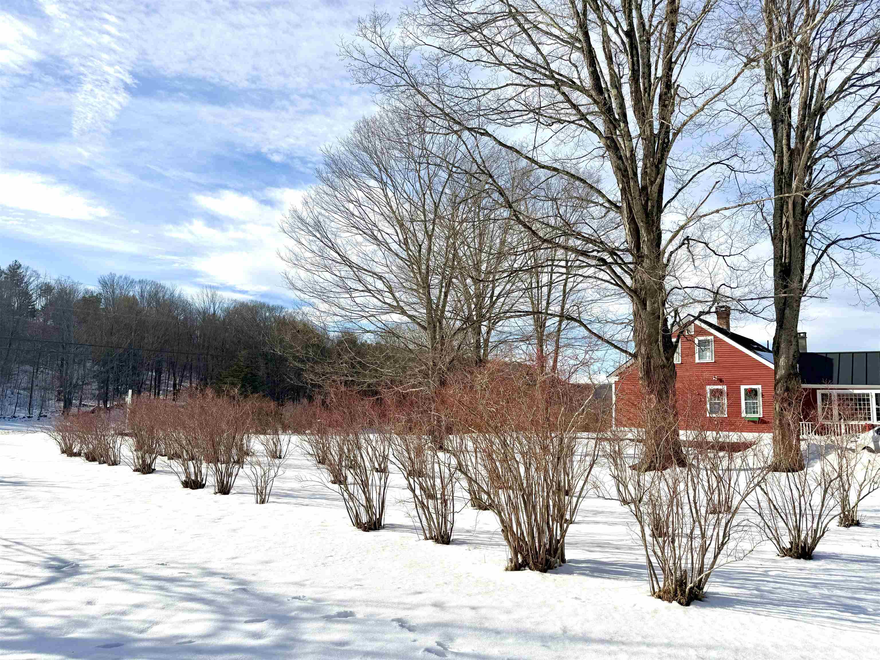 4205 Highway 131 Weathersfield, VT 05151 - Photo 32 of 42