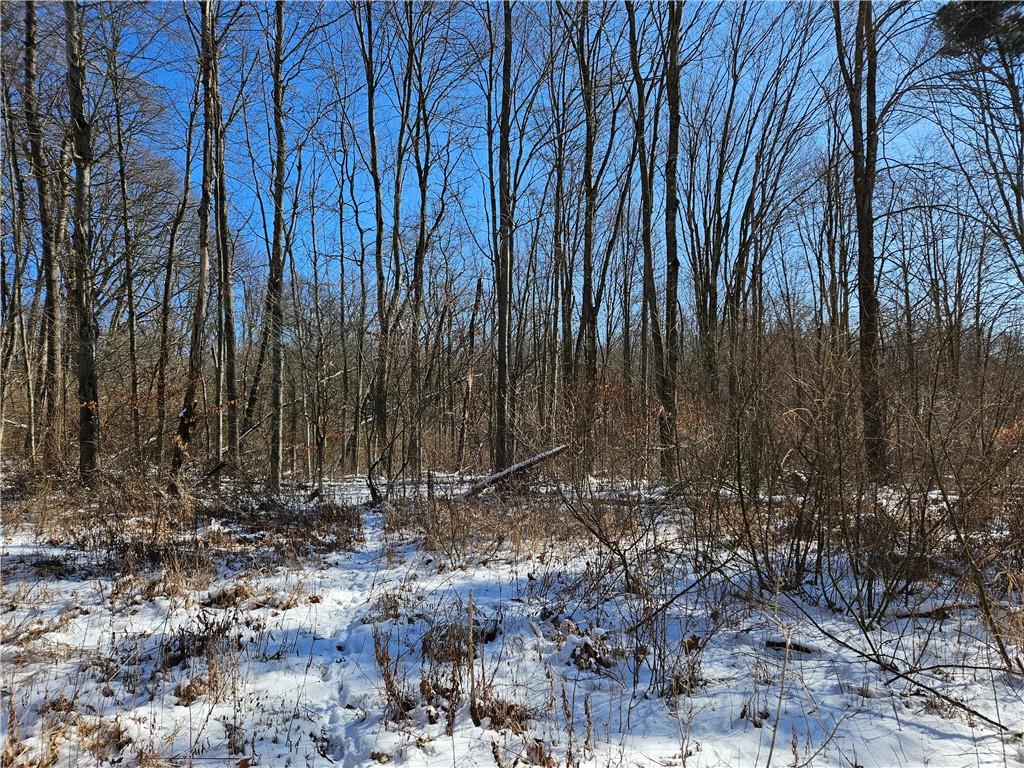 0 West Sunbury Road Boyers, PA 16020 - Photo 2 of 3 Gallery Image 2