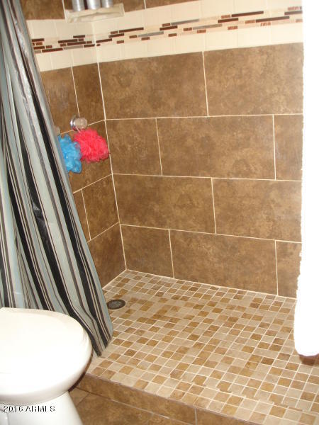 5601 West Berkeley Road Phoenix, AZ 85035 - Photo 6 of 16 Berkeley shower