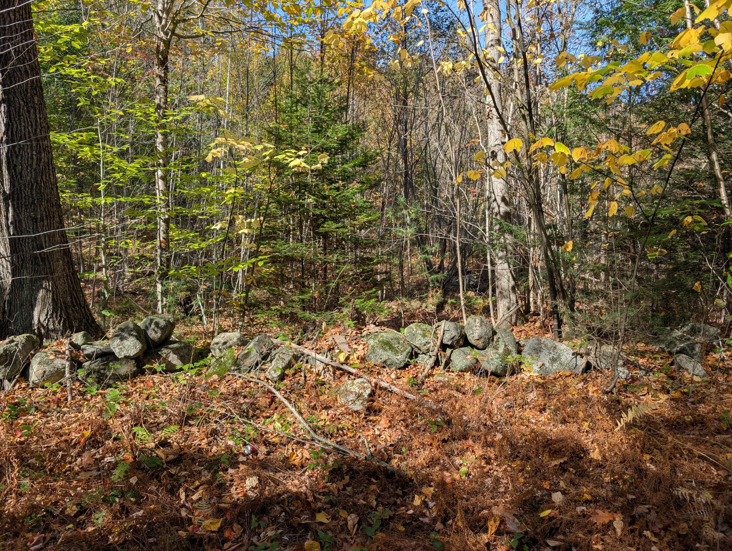 0 Gibbs Mill Road Livermore, ME 04253 - Photo 13 of 38 PXL_20251010_165216971