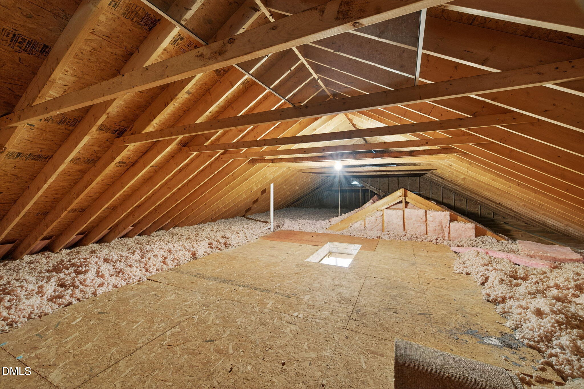 11 Hemlock Court Angier, NC 27501 - Photo 45 of 48