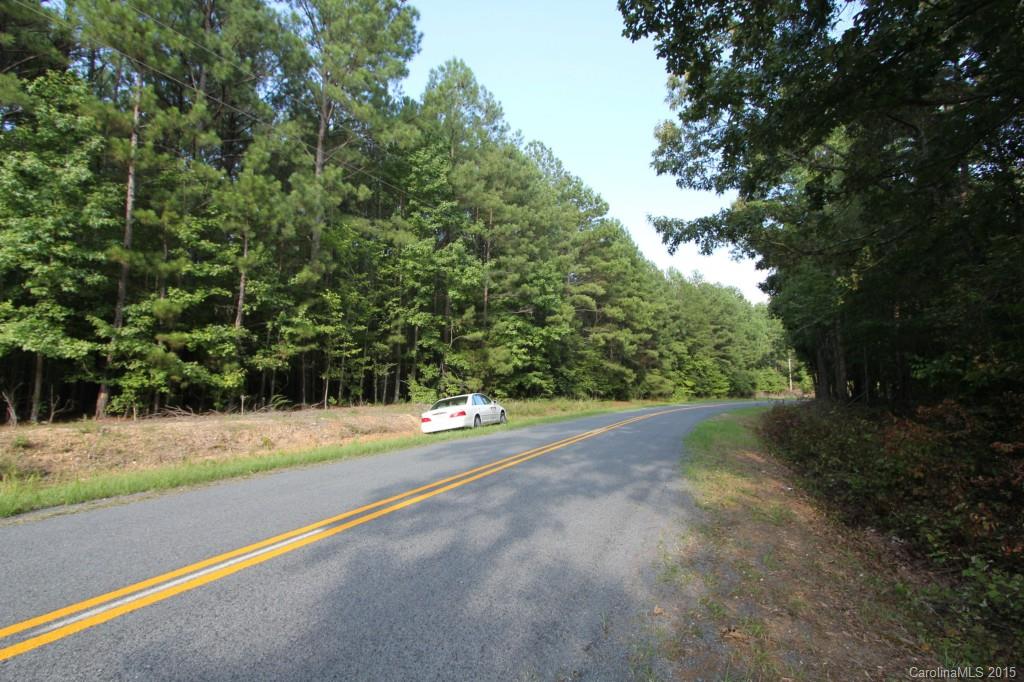 25.8 George Ratliff Road Peachland, NC 28133 - Photo 4 of 5 a view of a yard with a tree