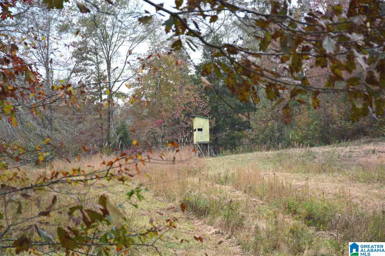 0 Jackson Loop Road, Unit 1 Ragland, AL 35131 - Photo 8 of 27