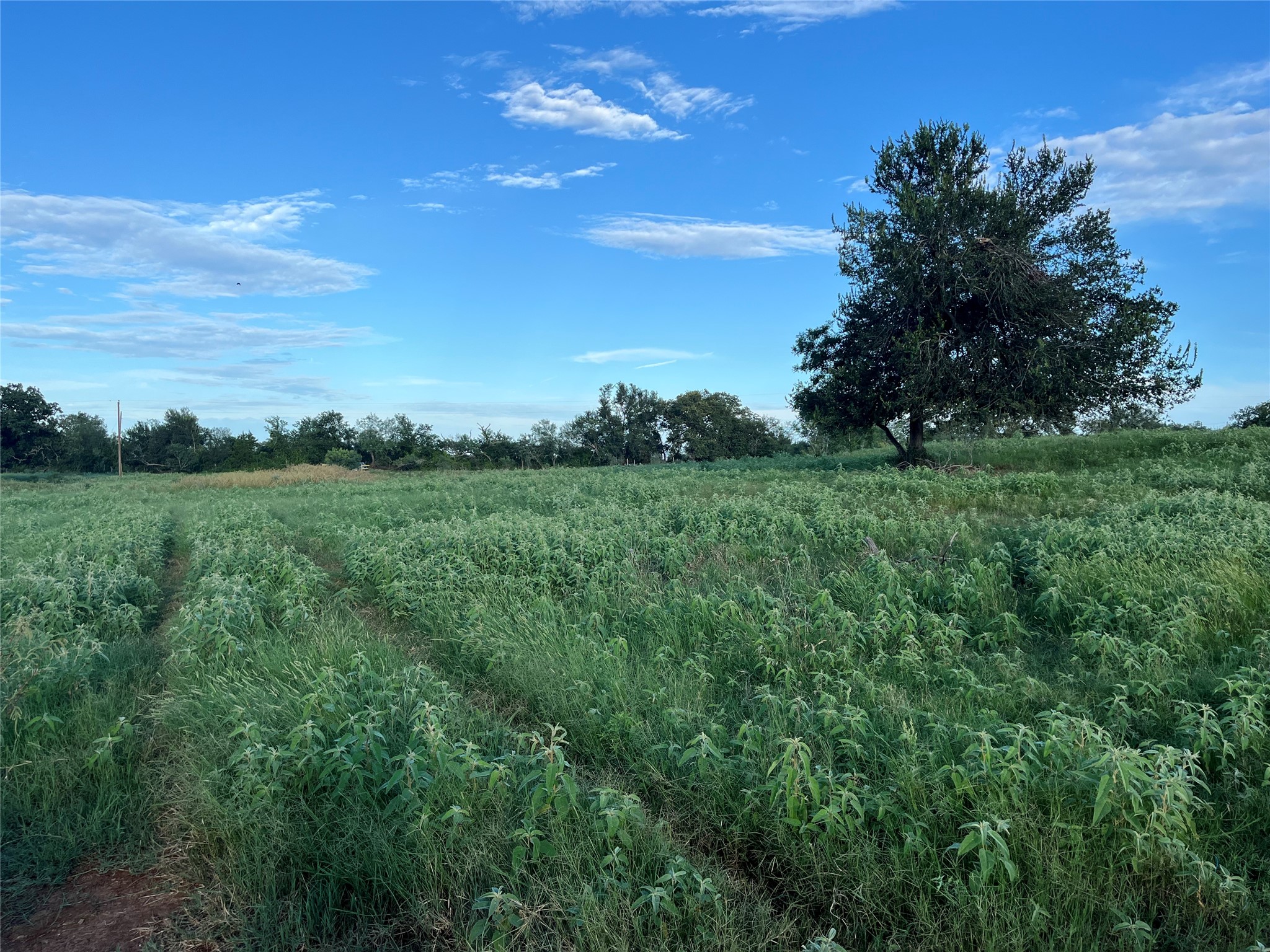 1018 Red Town Road Elgin, TX 78621 - Photo 8 of 14