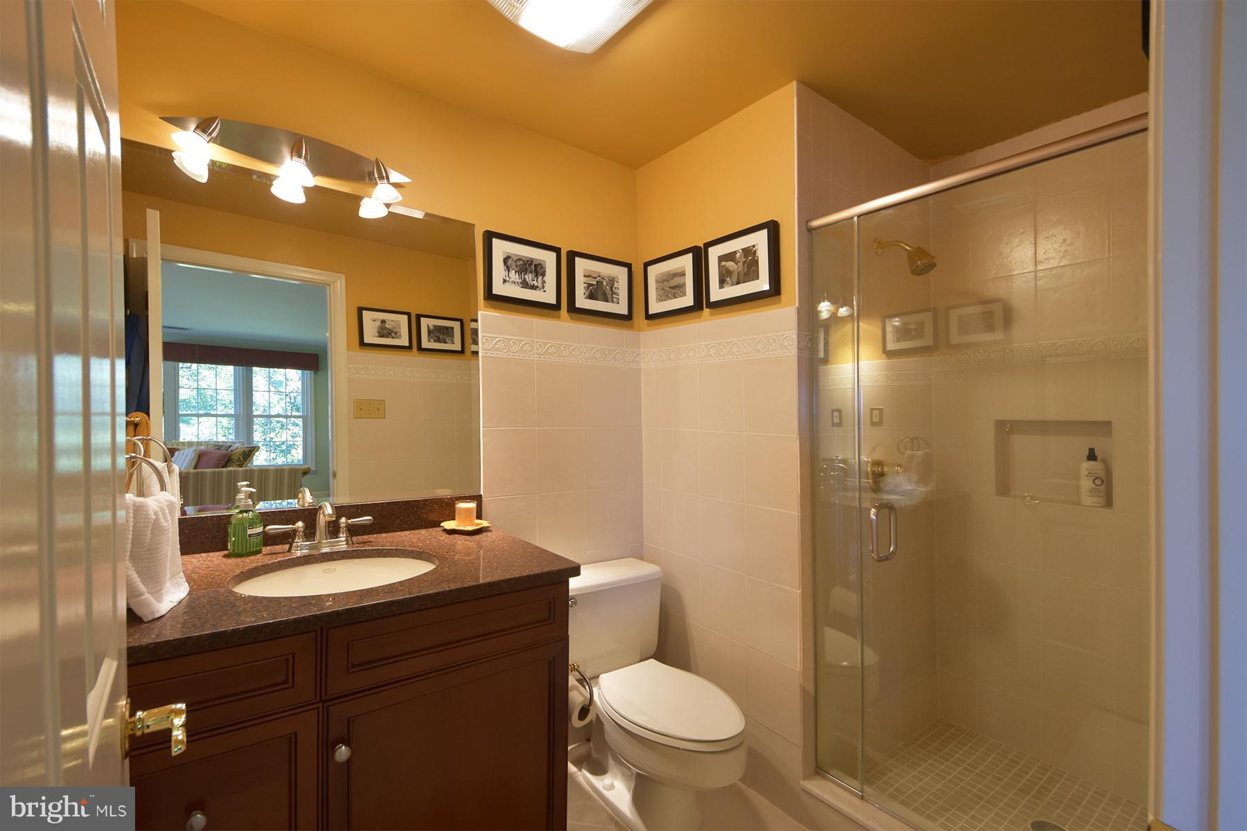 960 South River Landing Road, Unit 960 Edgewater, MD 21037 - Photo 24 of 29 Full bath on lower level