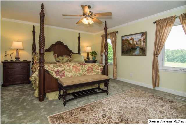 2570 Blue Springs Road Wilsonville, AL 35186 - Photo 16 of 32
