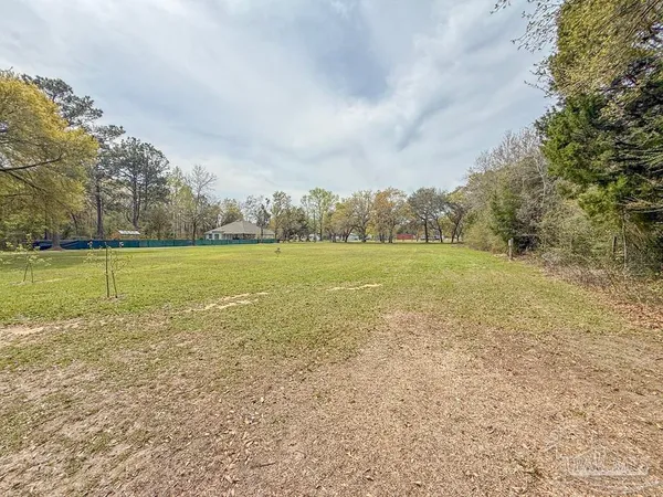 a view of a lake with a lush green forest