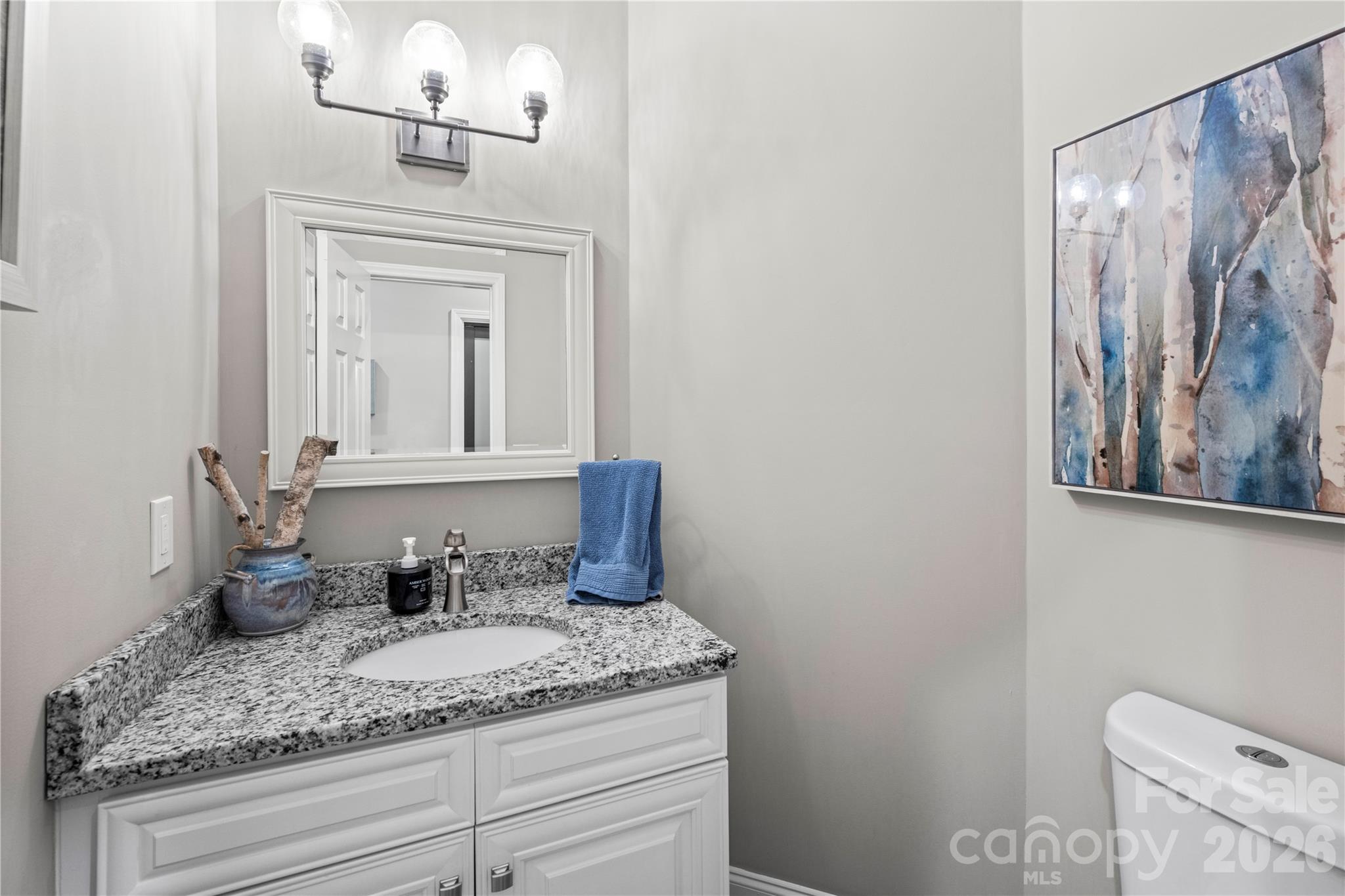 483 Heather Marie Drive Hendersonville, NC 28792 - Photo 17 of 48