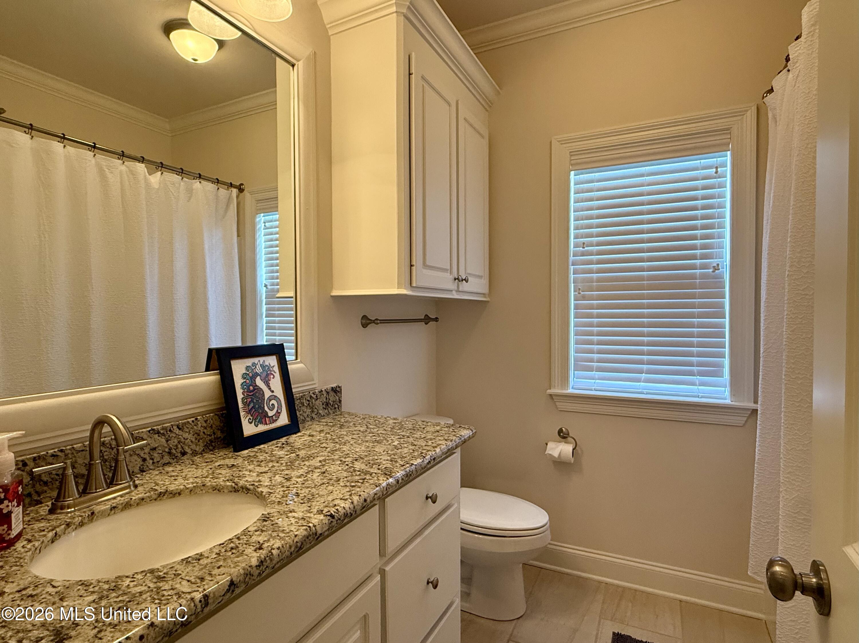 242 Falls Crossing Madison, MS 39110 - Photo 18 of 29 IMG_E9557