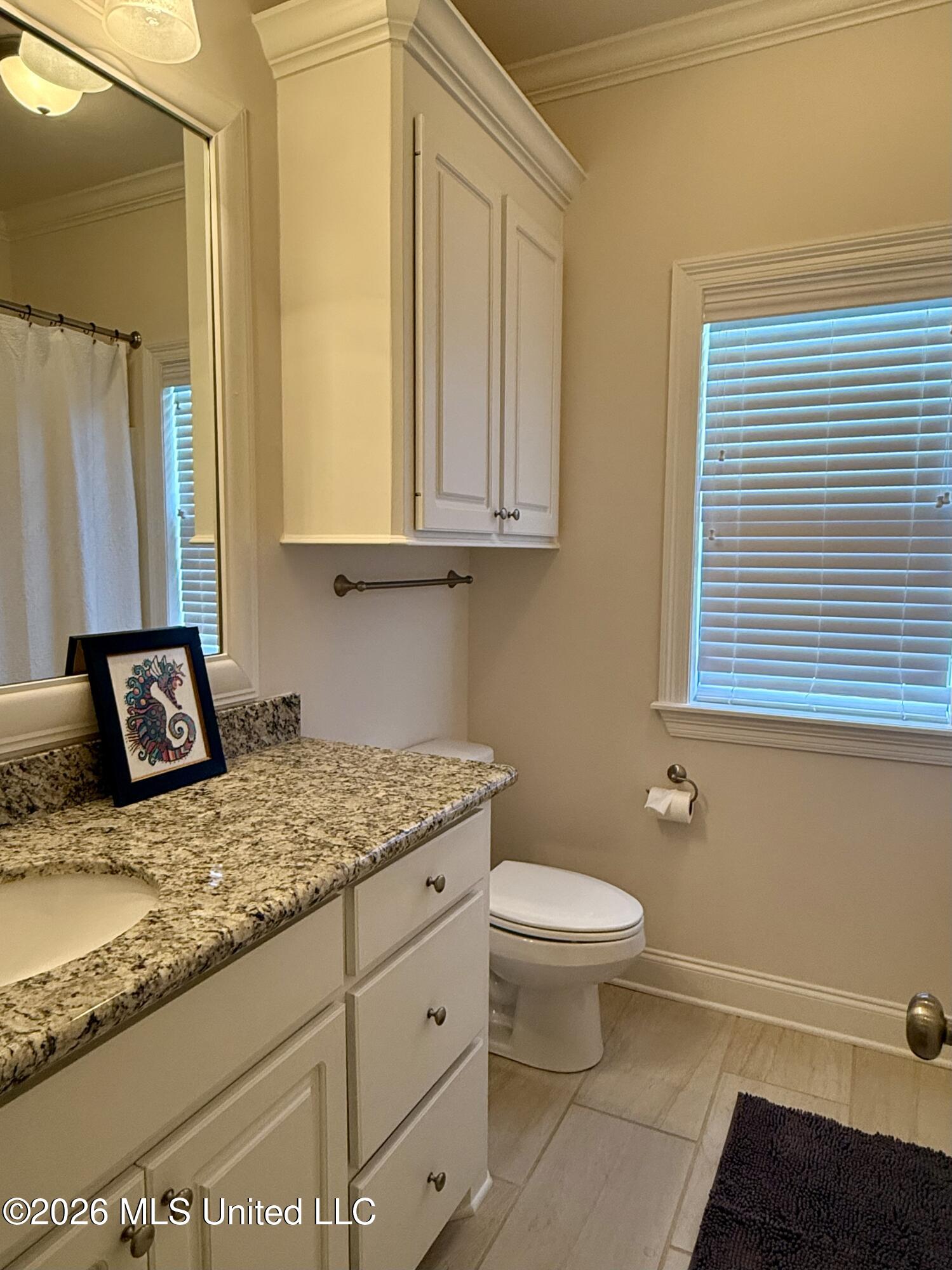 242 Falls Crossing Madison, MS 39110 - Photo 19 of 29 IMG_E9558