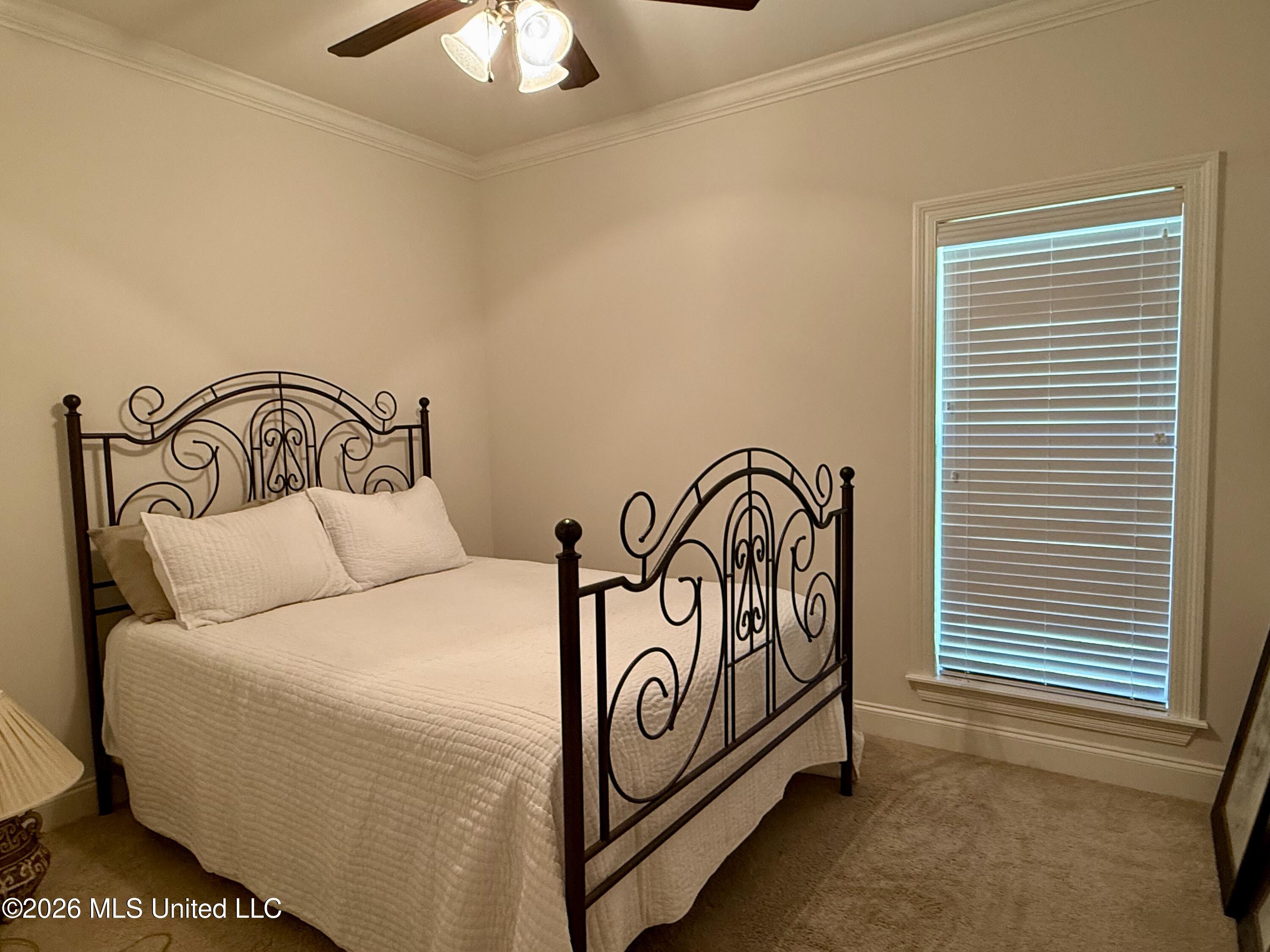 242 Falls Crossing Madison, MS 39110 - Photo 20 of 29 IMG_E9559